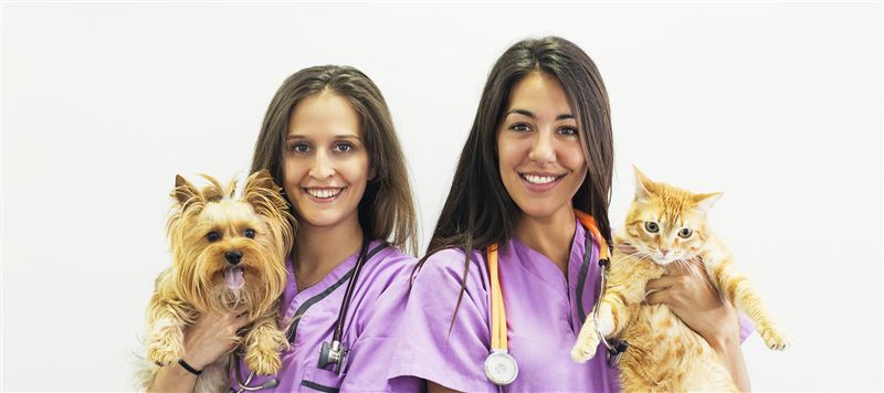 Ankeny veterinarian Dr. Franck with patient